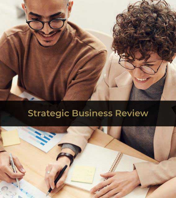 Strategic Business Review Cover