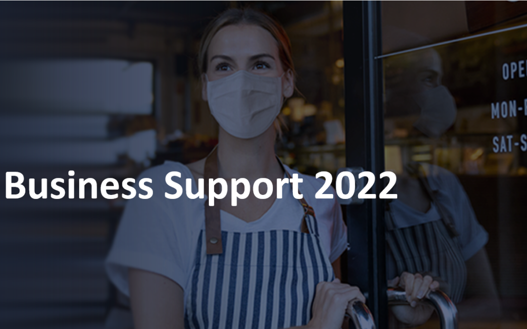 NSW Government Small Business Support Package – January 2022